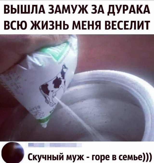 ВЫШЛА ЗАМУЖ ЗА ДУРАКА ВСЮ ЖИЗНЬ МЕНЯ ВЕСЕЛИТ Скучный муж горе в семье