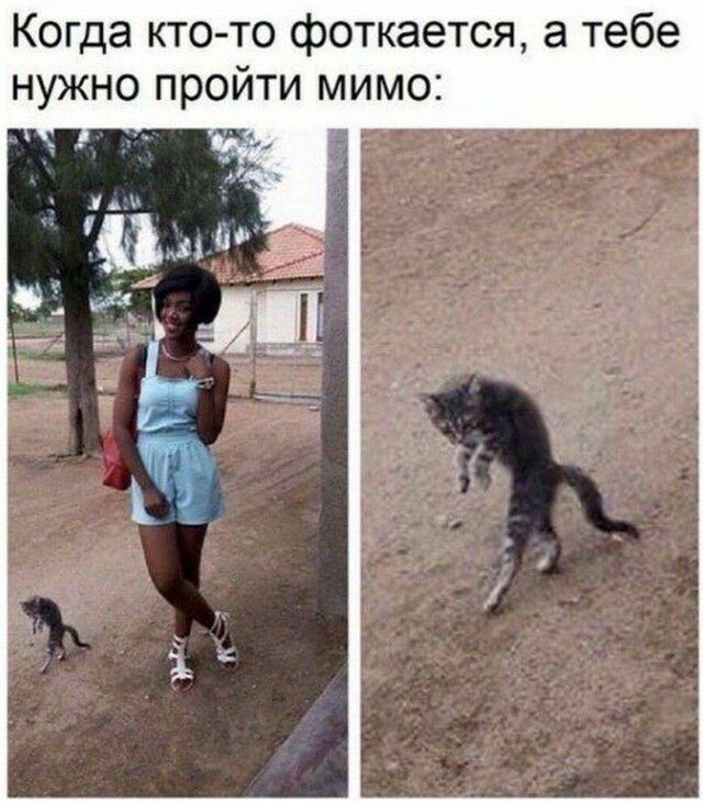 Когда кто то фоткается а тебе нужно пройти мимо