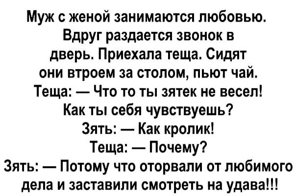 Муж женой занимаются любовью Вдруг раздается звонок в дверь Приехала теща Сидят они втроем за столом пьют чай Теща Что то ты зятек не весел Как ты себя чувствуешь Зять Как кролик Теща Почему Зять Потому что оторвали от любимого дела и заставили смотреть на удава