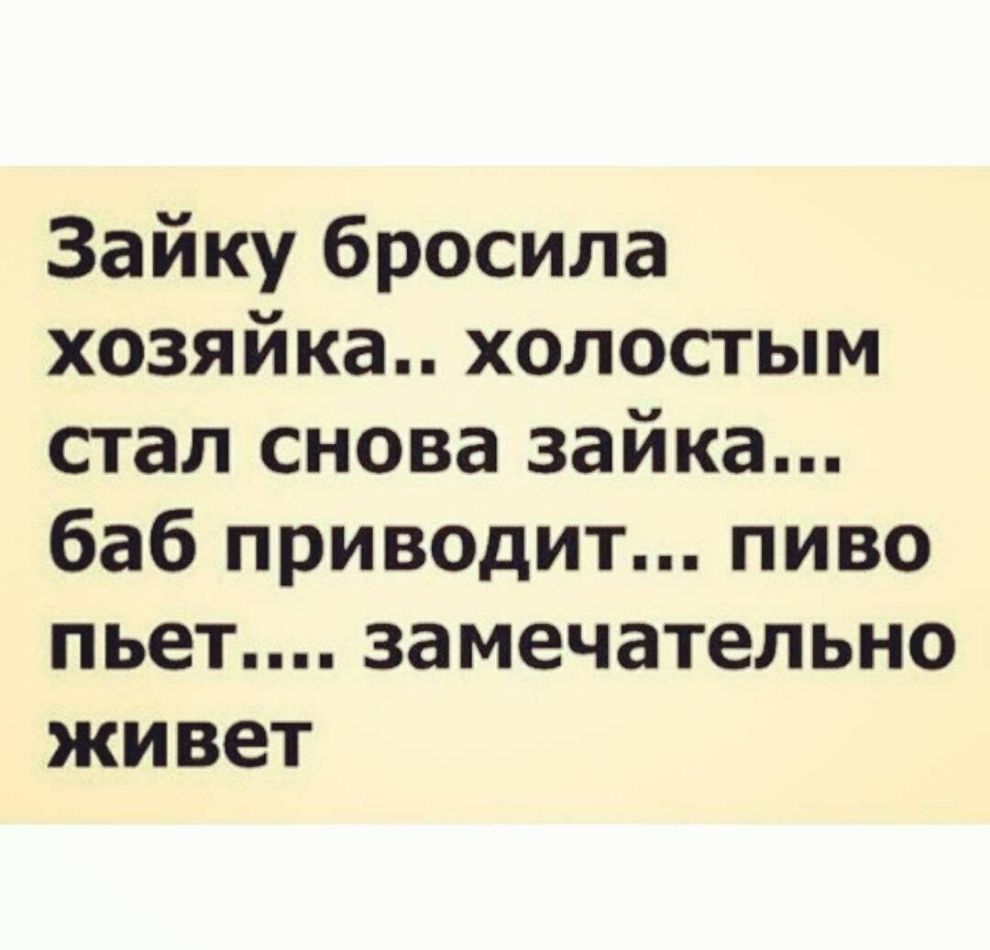 Зайку бросила хозяйка холостым стал снова зайка баб приводит пиво пьет ЗЗМЕЧЗТЕЛЬНО ЖИВЕТ