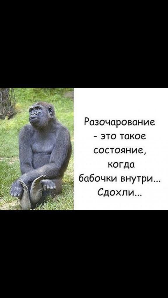 Разочарование это такое состояние когда бабочки внутри Сдохли