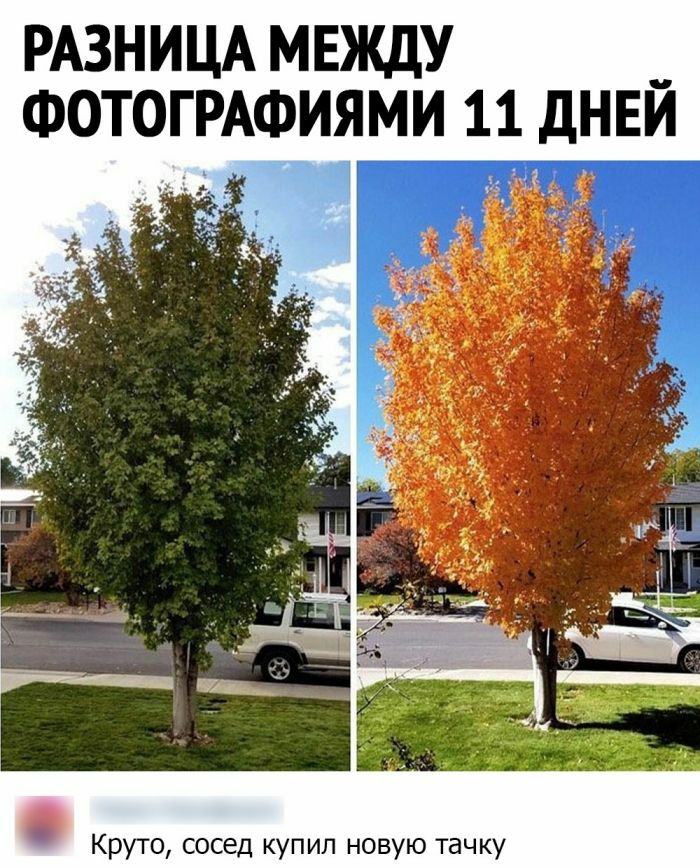 РАЗНИЦА МЕЖДУ _ ФОТОГРАФИЯМИ 11 дНЕИ Круто сосед купил новую тачку