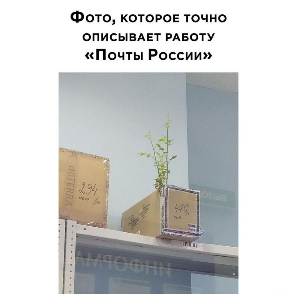 Фото которое точно описывмгт РАБОТУ Почты России
