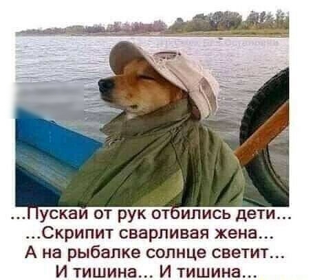 ускаи от рук от ились дети Скрипит сварливая жена А на рыбалке солнце светит И тишина И тишина
