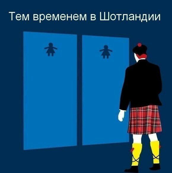 Тем временем в Шотландии