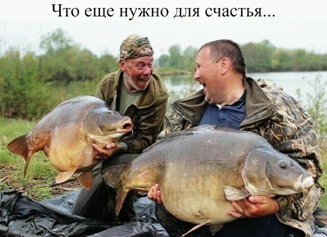 Что еще нужно для счастья
