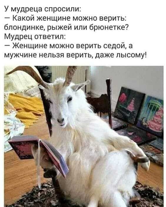 У мудреца спросили Какой женщине можно верить блондинке рыжей или брюнетке Мудрец ответил Женщине можно верить седой а мужчине нельзя верить даже лысому