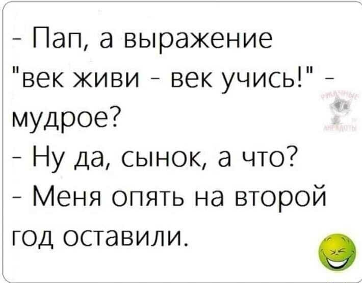 Фраза века. Фразы на века. Выражение век живи что это. Умные ржачные слова стэнхэна.