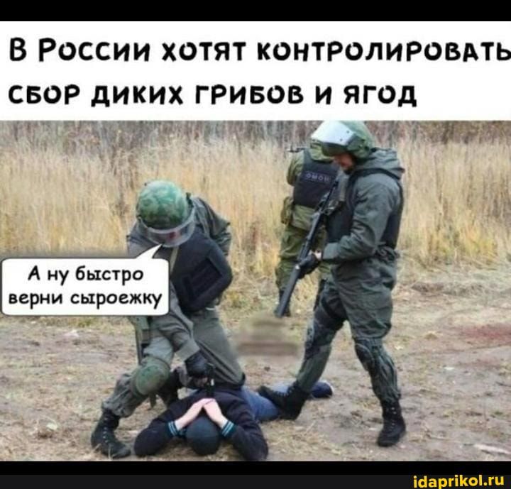 _ В России хотят контролировдть свор диких гривов и ягод _д 531 __ 235 _ ржёт 9Г А ну быстро верни сыроежку іаа гіКогц