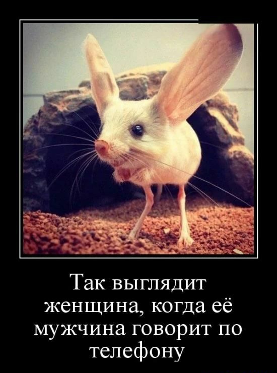 Так выглядит женщина когда её мужчина говорит по телефону