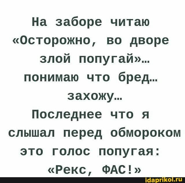 На заборе читаю Осторожно во дворе злой попугай понимаю что бред захожу Последнее что я слышал перед обмороком это голос попугая Рекс ФАС _