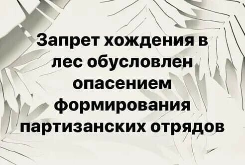 Запрет хождения в _ лес обусловлен д опасением формирования партизанских отрядов