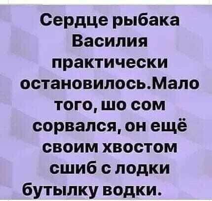 Сердце рыбака Василия практически остановилосьМапо того шо сом сорвался он ещё своим хвостом сшиб с лодки бутылку водки