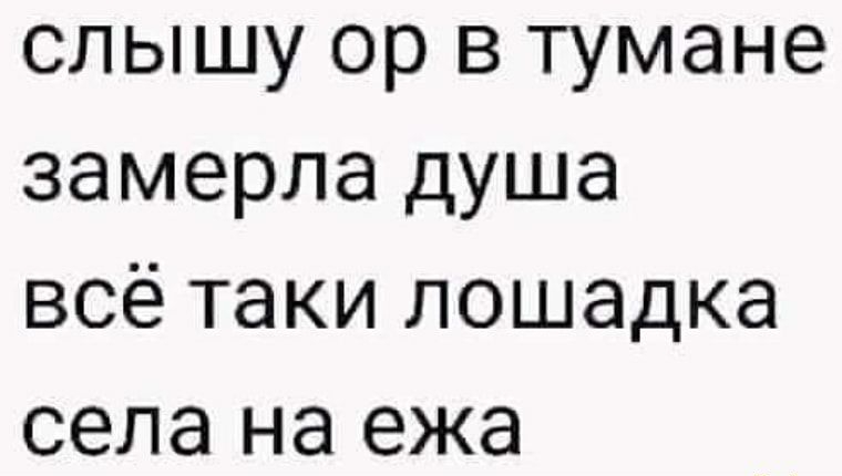 слышу ор в тумане замерла душа всё таки лошадка села на ежа