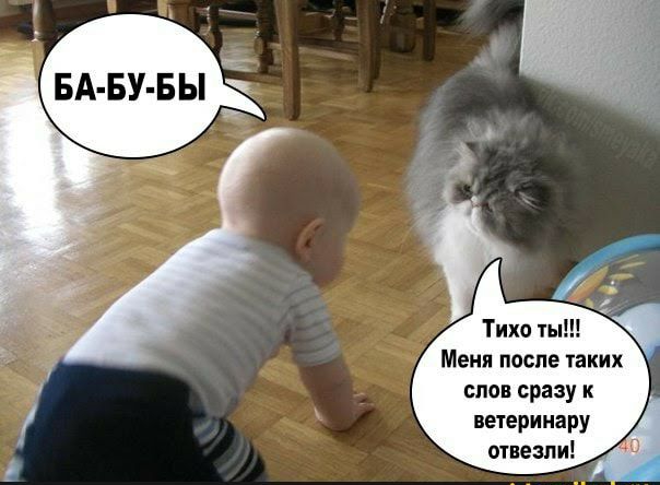 БА БУ БЫ Тихо ты Мени после таких слов сразук ветеринару отвес и