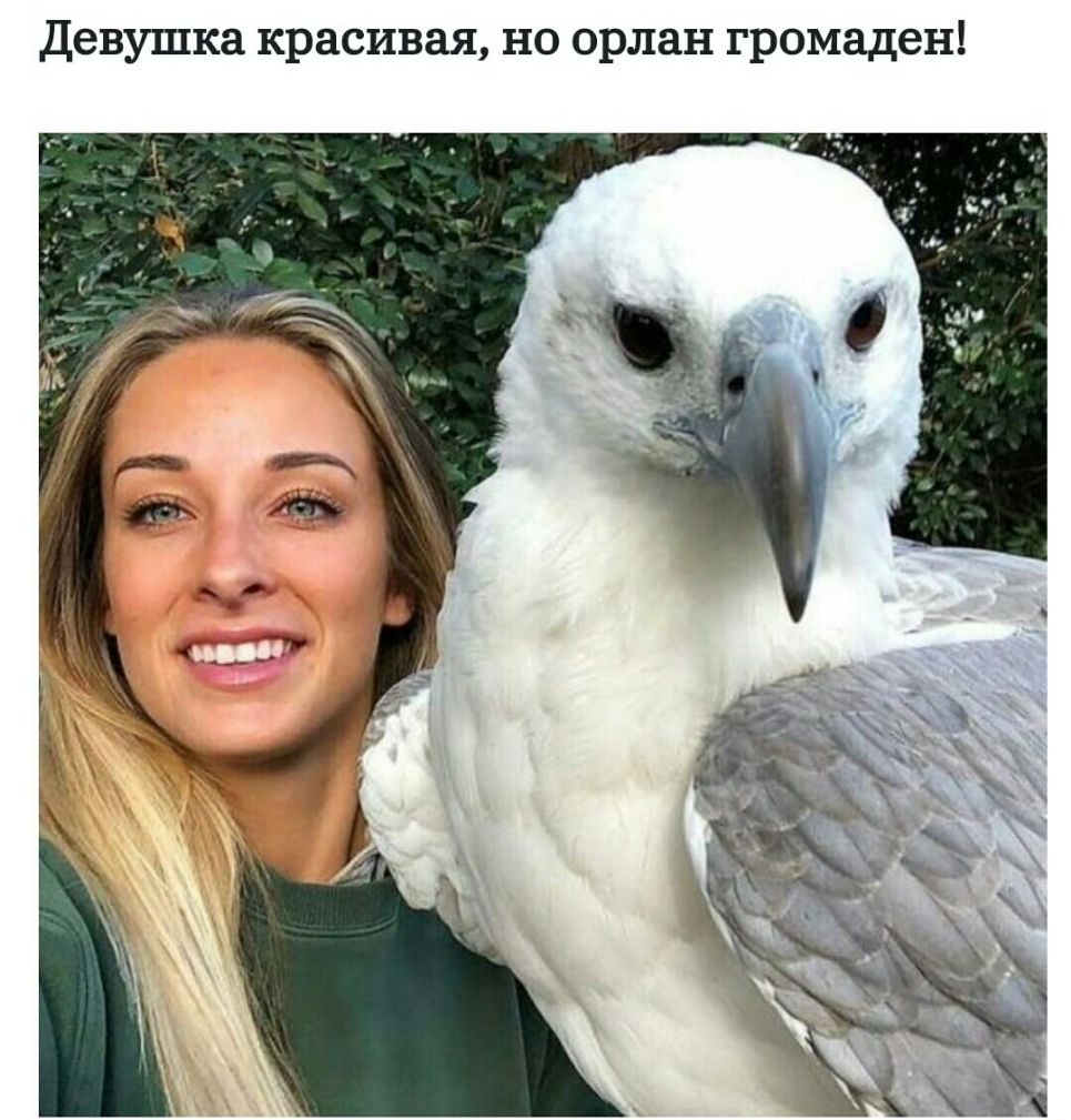 но орлан громаден Девушка красивая