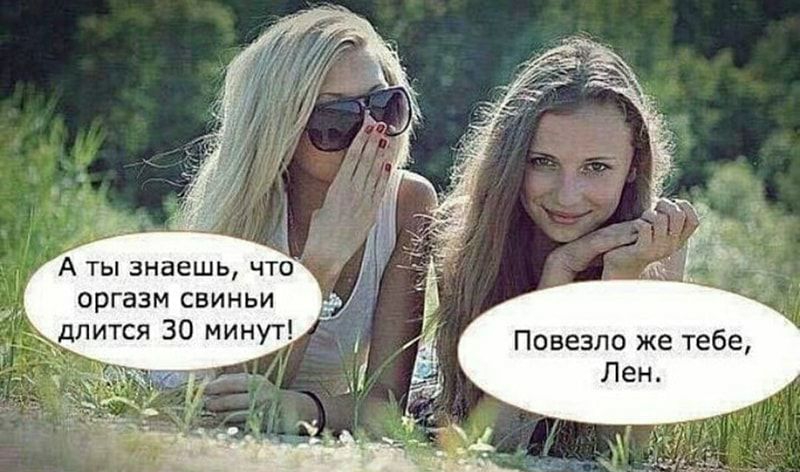 оргазм свиньи длится 30 минут А ты знаешь чт Повезло же тебе Лен