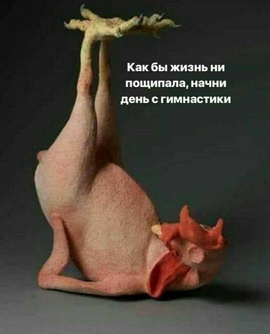 Как бы жизнь ни пощипала начни день гимнастики