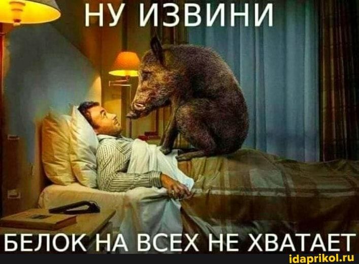 5 ну извини іі і БЕЛОК Нч ВСЕХ НЕ ХВАТАЕТ іааргікы гц