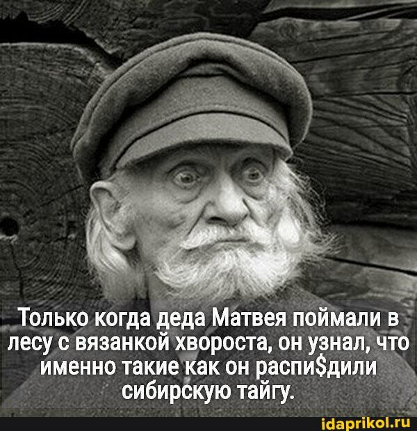 лесу с вязанкой Хворост он узнёіёто именно такие он распидй сибирскую тайгу