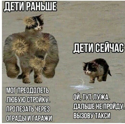 Щитлшшь типажи