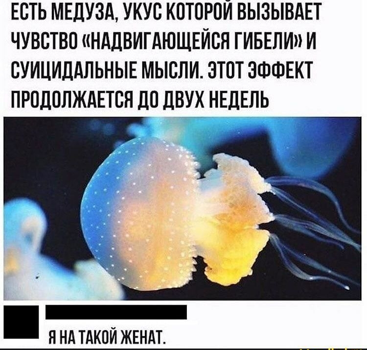 ЕОТЬ МЕДУЗА УКУО КОТОРОЙ ВЫЗЫВАЕТ ЧУВСТВО НАДВИТАЮЩЕЙОЯ ГИБЕЛИ И ОУИЦИДАЛЬНЫЕ МЫОЛИ ЭТОТ ЭФФЕКТ ПРОДОЛЖАЕТСЯ ДО ДВУХ НЕДЕЛЬ _ ННА ТАКОЙ ЖЕНАТ
