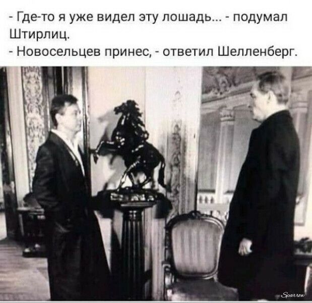 Где то я уже видел эту лошадь подумал Штирлиц _ Новосельцев принес _ ответил Шелленберг