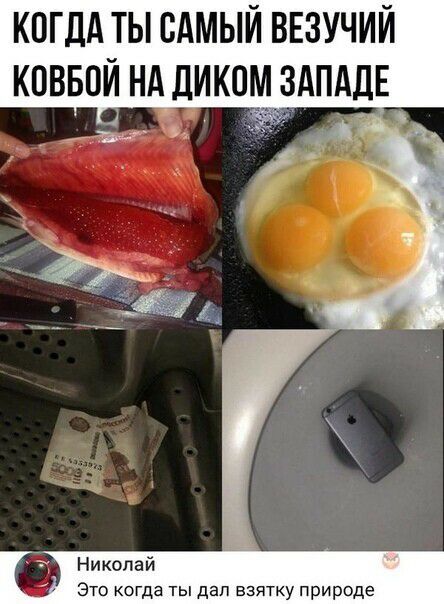 КОГДА ТЫ САМЫЙ ВЕЗУЧИЙ КОВБОЙ НА ДИКОМУЗАПАДЕ Николай Это когда ты дал взятку природе