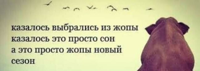 казалось выбрались из жопы казалось это просто сон а это просто жопы новый сезон