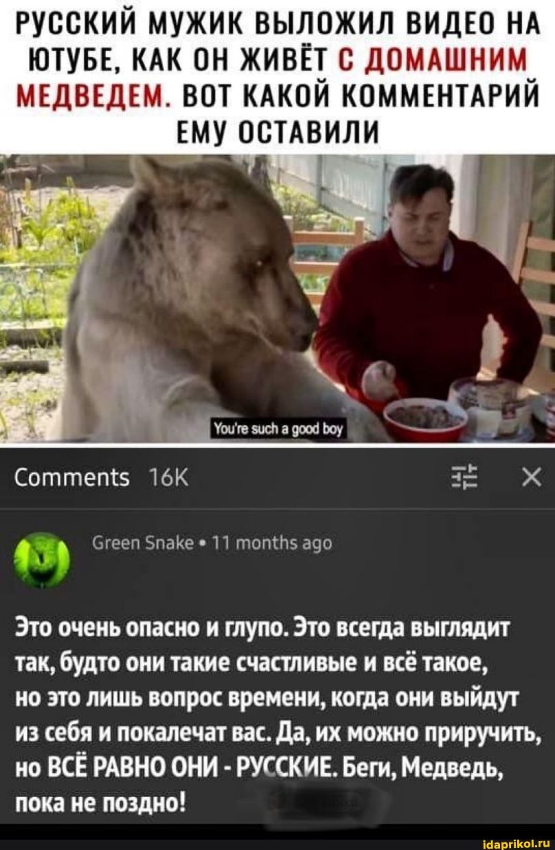 РУССКИЙ МУЖИК ВЫЛОЖИЛ ВИДЕО НА ЮТУБЕ КАК ОН ЖИВЁТ О дОМАШНИМ МЕДВЕДЕМ ВОТ КАКОЙ КОММЕНТАРИЙ ЕМУ ОСТАВИЛИ Соттепгз ТЬК Т Х Бизон Битце П птопытз 390 Это очень опасно и глупо Это всегда выглядит так будто они такие счастливые и всё такое но это лишь вопрос времени когда они выйдут из себя и покалечат вас да их можно приручить но ВСЁ РАВНО ОНИ РУССКИЕ Беги Медведь пока не поздно