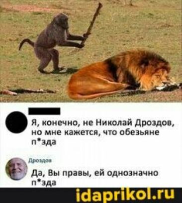 я конечно не Николай Дроздов но мне имет что обезьяне пзда да Вы правы ей однозначно пзда
