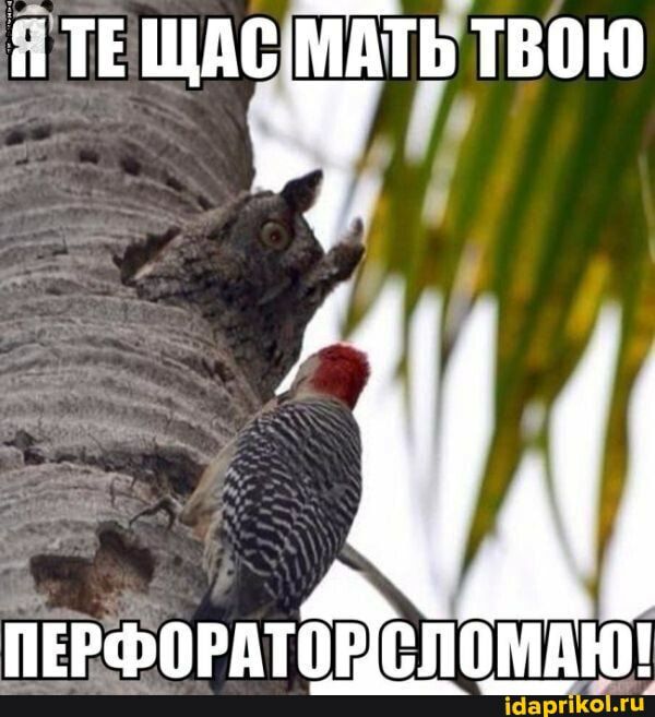 Ётъ щм мы твою