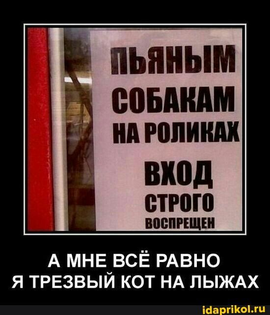 вход строю А мнв_всЁ РАВНО я ТРЕзвыи кот НА ЛЫЖАХ 373 л