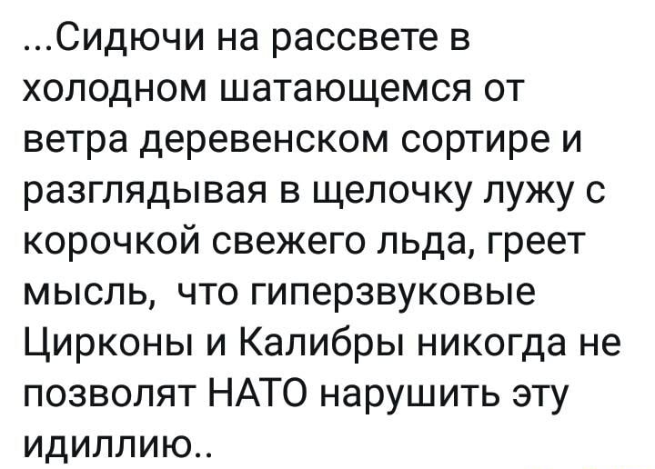 Сидючи на рассвете в холодном шатающемся от ветра деревенском сортире и разглядывая в щелочку лужу с корочкой свежего льда греет мысль что гиперзвуковые Цирконы и Калибры никогда не позволят НАТО нарушить эту идиллию