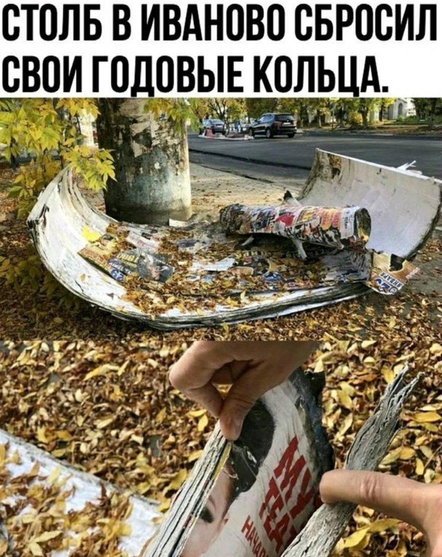 ОТОЛБ В ИВАНОВО ОБРООИЛ ОВОИ ГОДОВЫЕ КОЛЬ А _