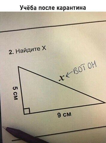 Учёба после карантина