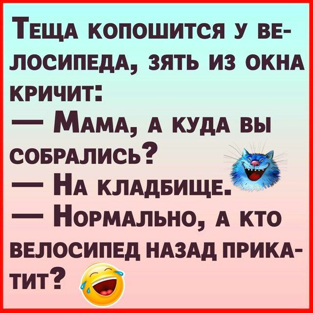 ТЕЩА КОПОШИТСЯ У ВЕ ЛОСИПЕДА ЗЯТЬ ИЗ ОКНА КРИЧИТ МАМА А КУдА вы совРАлись НА КЛАДБИЩЕ НОРМАЛЬНО А кто ввлосипвд НАЗАд ПРИКА тит