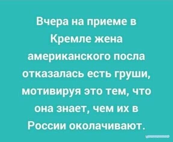 Вчера на приеме в Кремле жена американского посла отказалась есть груши мотивируя это тем что она знает чем их в России околачивают _