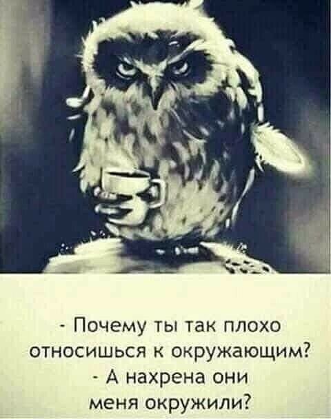 Почему ты так плохо относишься к окружающим А нахрена они меня окружили