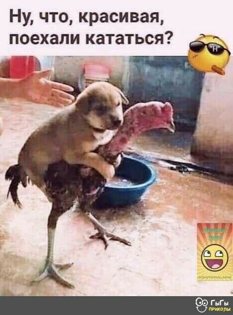 Ну что красивая поехали кататься