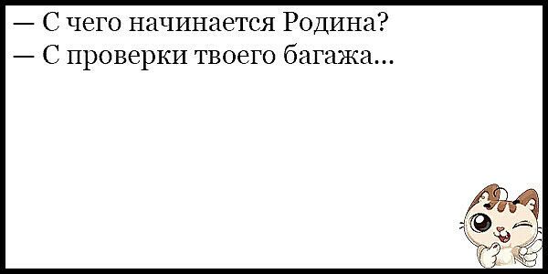 С чего начинается Родина С проверки твоего багажа