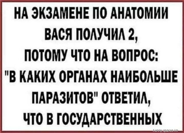 НА ЭКЗАМЕНЕ ПО АНАТОМИИ ВАОЯ ПОАУЧИА 2 ПОТОМУ ЧТО НА ВОПРОС В КАКИХ ОРГАНАХ НАИБОАЬШЕ ПАРАЗИТОВ ОТВЕТИА ЧТО В ТООУДАРОТВЕННЫИ