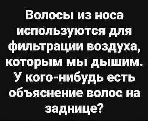 Волосы из носа используются для фильтрации воздуха которым мы дышим У кого нибудь есть объяснение волос на заднице