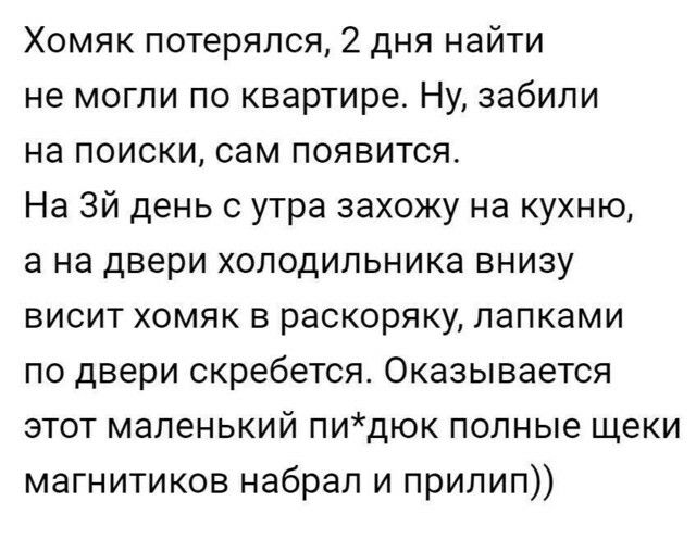 Хомяк потерялся 2 дня найти не могли по квартире Ну забили на поиски сам появится На Зй день с утра захожу на кухню а на двери холодильника внизу висит хомяк в раскоряку лапками по двери скребется Оказывается этот маленький пидюк полные щеки магнитиков набрал и прилип