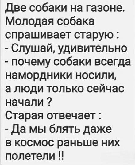 Две собаки на газоне Молодая собака спрашивает старую Слушай удивительно почему собаки всегда намордники носили а люди только сейчас начали Старая отвечает Да мы блять даже в космос раньше них полетели