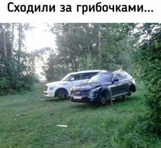 Сходили за грибочками