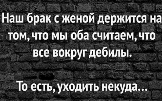 Наш брак с женой держится на томчто мы оба считаемчто все вокруг дебилы То есть уходить некуда