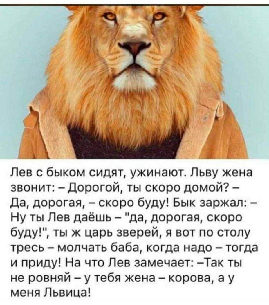 Лев с быком сидят ужинают Льву жена звонит Дорогой ты скоро домой Да дорогая скоро буду Бык заржал Ну ты Лев даёшь да дорогая скоро буду ты ж царь зверей я вот по столу тресь молчать баба когда надо тогда и приду На что Лев замечает Так ты не ровняй у тебя жена корова а у меня Львица