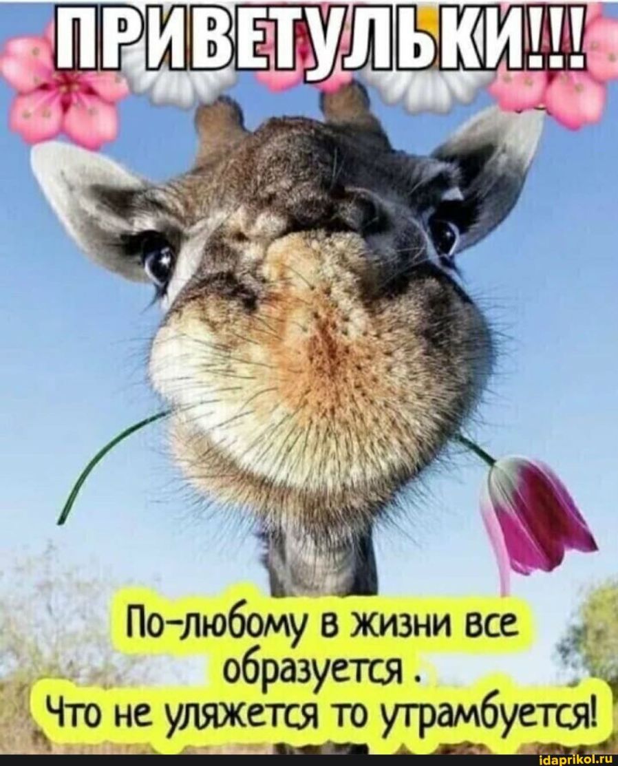 Полюбому в жизни все _ образуется _ 1 Что не уляжется то уграмбуется іаа диет