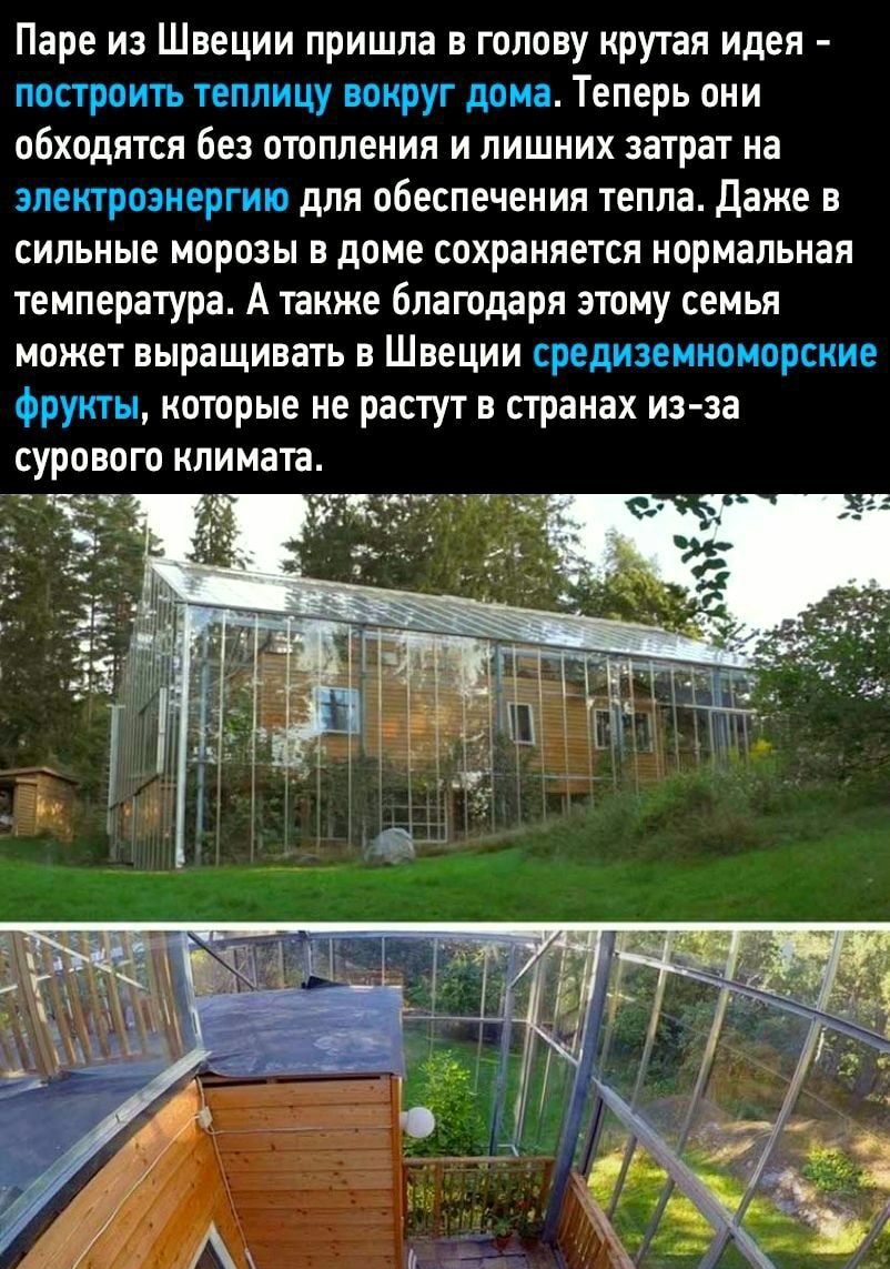 Паре из Швеции пришла в голову крутая идея построить теплицу вокруг дома Теперь они обходятся без отопления и лишних затрат на электроэнергию для обеспечения тепла Даже в сильные морозы в доме сохраняется нормальная температура А также благодаря этому семья может выращивать в Швеции средиземноморсние фрукты которые не растут в странах из за сурового климата